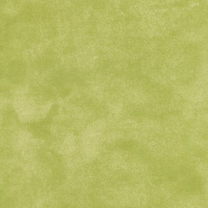 Woolies Flannel - Colorwash Light Green Yardage