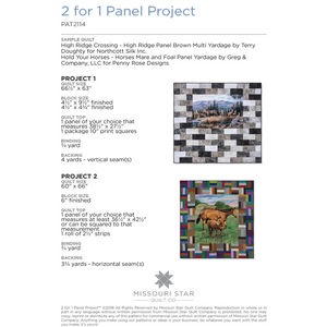 2 for 1 Panel Project Pattern by Missouri Star