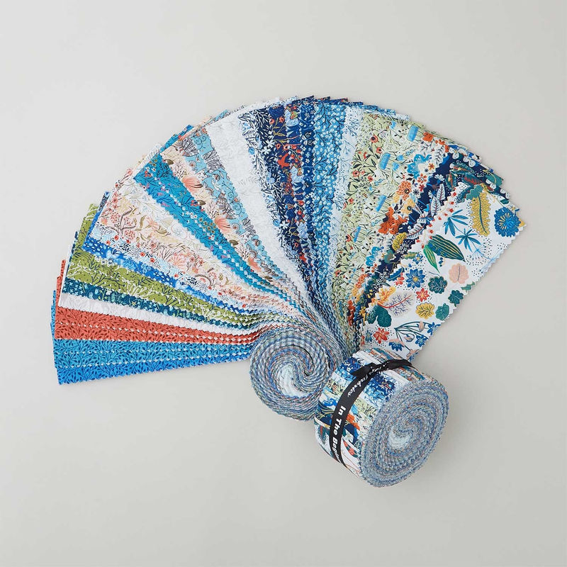 Whimsy 2 1/2" Strips