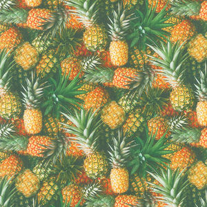 A La Carte - Welcome Committee Pineapple Multi Digitally Printed Yardage
