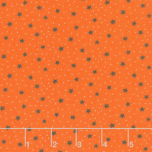 A Spooky Good Time - Starry Sky Pumpkin Yardage