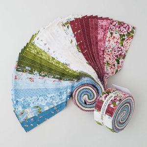 Adelaide Favorites 2.5" Strips