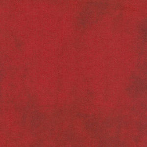 Woolies Color Wash Flannel - Tomato Soup Red Yardage