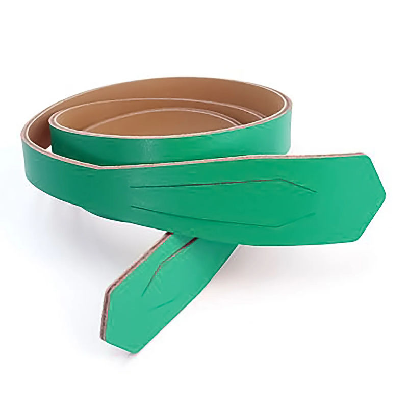 Miyako 49.25" Bag Handle - Mint Green