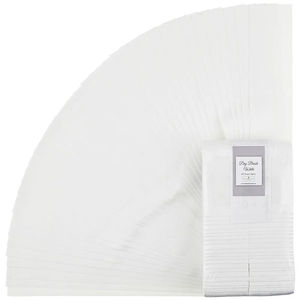 Wilmington Essentials - Dry Brush White 40 Karat Gems