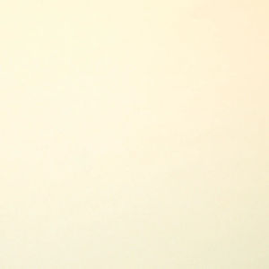 Winterfleece Solids - New Ivory Yardage