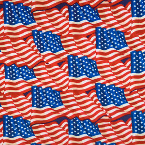 Winterfleece Prints - Flags Yardage