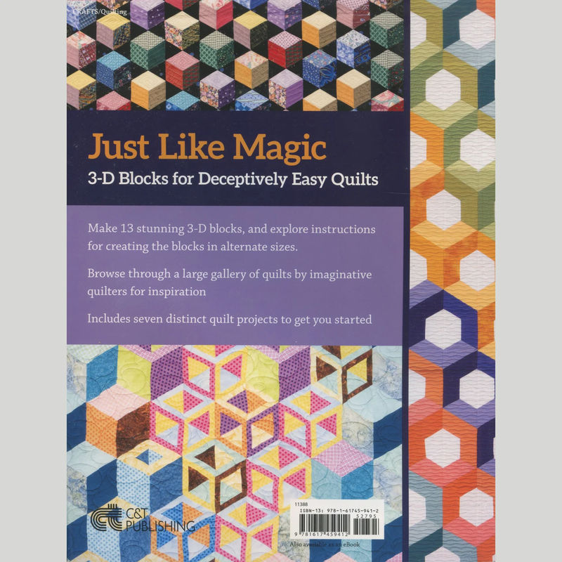 3-D Magic! Simple Blocks, Striking Quilts Book
