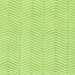 Luxe Cuddle® - Ziggy Lime 60" Minky Yardage