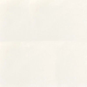 Cotton Supreme Solids - Cream Yardage