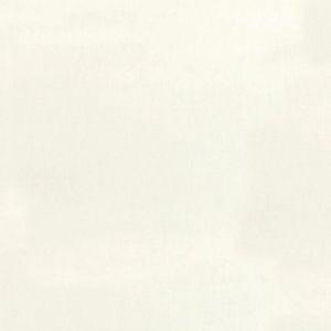 Cotton Supreme Solids - Linen White Yardage