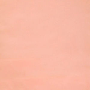 Cotton Supreme Solids - Ballerina Yardage