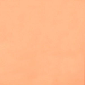 Cotton Supreme Solids - Apricot Ice Yardage