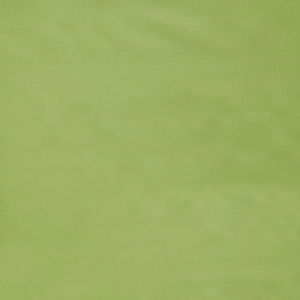 Designer Solids - Sap Yardage