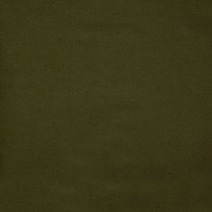 Cotton Supreme Solids - Bayou Yardage