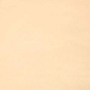 Cotton Supreme Solids - Ecru Yardage