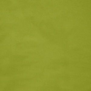 Cotton Supreme Solids - Aloe Verde Yardage