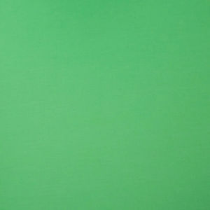 Cambridge Solids - Lawn Willow Yardage