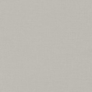 Bella Solids - Silver 108" Wide Backing