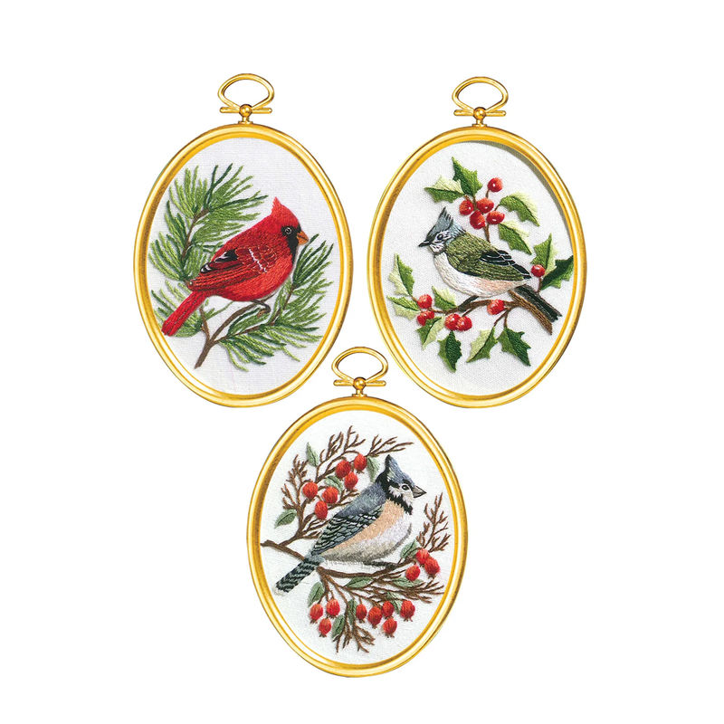 Winter Birds Embroidery Set Kit