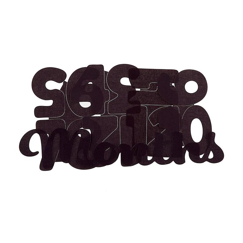 Missouri Star Month by Month Milestones Blanket Precut Fused Applique Pack