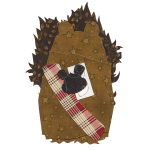 American Water Spaniel/Boykin Spaniel Precut Fused Appliqué Pack