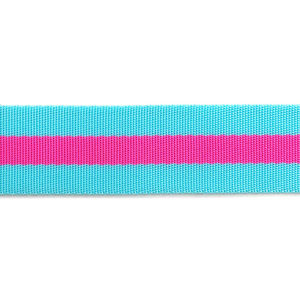 Tula Pink 1 1/2" Webbing - Blue Aqua and Hot Pink