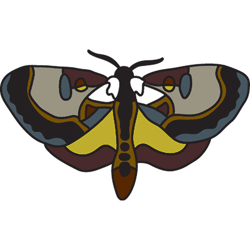 Wood Nymph Magnetic Needle Minder