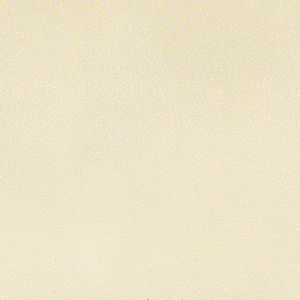 Sparkle Cuddle® Glitter - Ivory Gold Metallic Minky Yardage